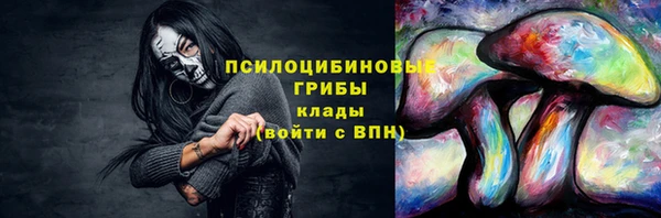 крисы Горно-Алтайск