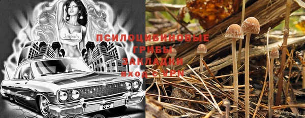 МДМА Медвежьегорск