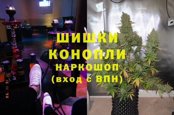 крисы Горно-Алтайск