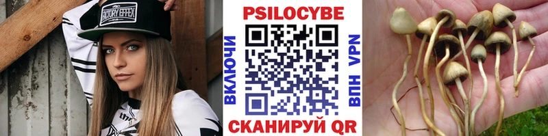 ссылка на мегу ТОР  дарнет шоп  Староминская  Галлюциногенные грибы мицелий 