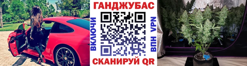 цена наркотик  Староминская  hydra ссылка  Конопля ГИДРОПОН 